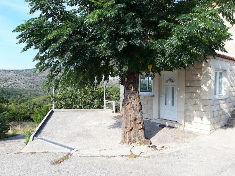 Apartment Harmony - With Free Parking Doli Exterior photo